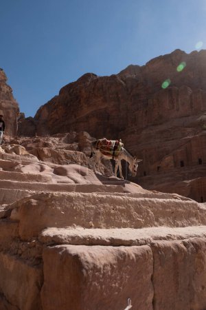 Ruines de Petra, patrimoine mondial de l'UNESCO, Jordanie