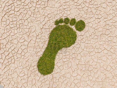 Foto de Huella humana de hierba verde en un suelo seco y agrietado en la sequía. renderizado 3d - Imagen libre de derechos