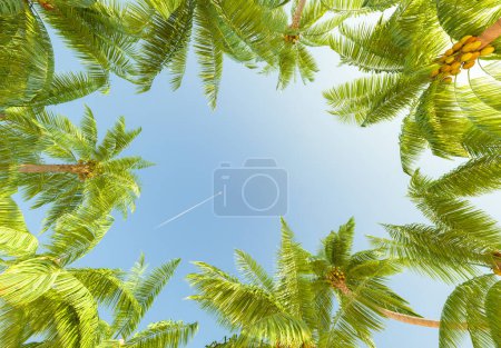 3D-Darstellung eines Blicks auf hoch aufragende Palmen mit einem Jet-Trail, der sich über den klaren blauen Himmel zieht, Konzept des Reisens und der Flucht.
