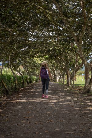 Woman walks along a path full of trees.