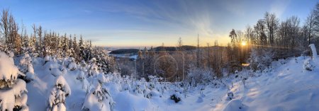 Téléchargez les photos : Point de vue dans la forêt en hiver. Paysage matinal. La forêt est couverte de neige. - en image libre de droit