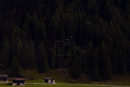 Photo for Secluded Retreat: Rustic Cabins at the Edge of an Alpine Forest, Embracing the Quietude of Nature. High quality photo - Royalty Free Image