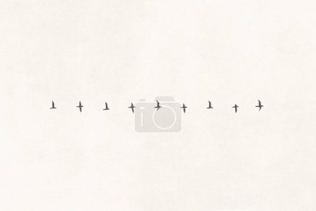 Téléchargez les photos : Illustration des étapes de vol progression d'un oiseau migrateur - en image libre de droit