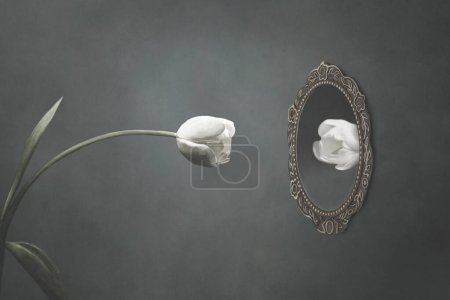 Téléchargez les photos : Illustration de tulipe blanche se regardant dans le miroir, vanité concept surréaliste - en image libre de droit