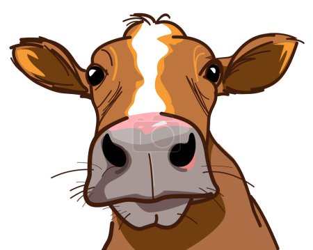 Illustration for Illustration of curious cow face looking at you, vector image on white - Royalty Free Image
