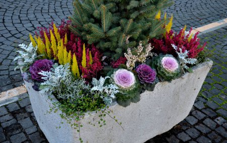 Téléchargez les photos : Un pot de fleurs gris est une forme rectangulaire, pot de fleurs avec vivaces à fleurs dans une place ou sur une rue dans un parc. barrière routière en acier, béton, sauge, bruyère, cylindre de granit de borne, ensoleillé - en image libre de droit