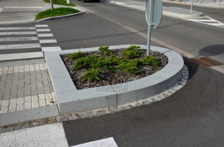 planting at the crossroads at crossing. recumbent junipers in regular raster. flowerbed is mulched with bark chips. granite curbs and road markings, mosaic, grid, blind, bumps, islands, curved, edge