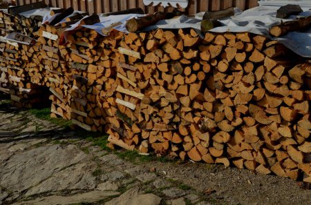 Photo for One of the best firewood is beech. preparation of logs for removal from the clearing. chopping with an ax and stacking in woodsheds right next to the cottage. decorative grids made of blocks - Royalty Free Image