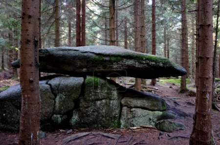Photo for Stone boulder a flat and wobbly remnant of glacial processes in a spruce forest. the wobbly stone resembles a dolmen or menhir in a horizontal position. the oldest natural swing - Royalty Free Image