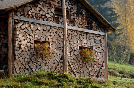 Foto de Casa de madera con un techo y ventanas hechas de tablones incrustados en madera dividida nivelada para la calefacción en una casa de campo o casa. en el nicho están los macizos de flores con geranios florecientes rojos en otoño paisaje alpino - Imagen libre de derechos