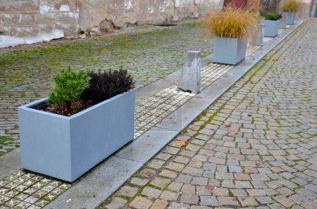 Photo for Square bordered by concrete look flowerpots with flowers and conifers from dwarf perfectly complements impression of square with bollards and backlighting. safe walking through the school, autumn, - Royalty Free Image