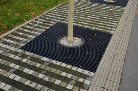Photo for Stripes tile, the floor under the avenue of sycamores growing out of a grid with a circular hole for the trunk. Black metal measures for water absorption. concrete paving blocks, pebble mulch - Royalty Free Image