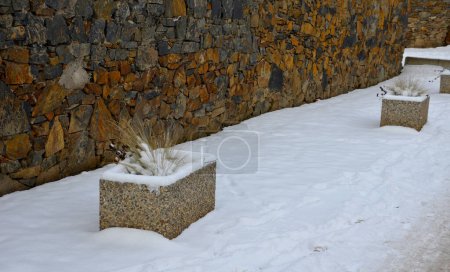 Photo for Square bordered by concrete look flowerpots with flowers and conifers from dwarf perfectly complements impression of square with bollards and backlighting. safe walking through school, winter yard - Royalty Free Image