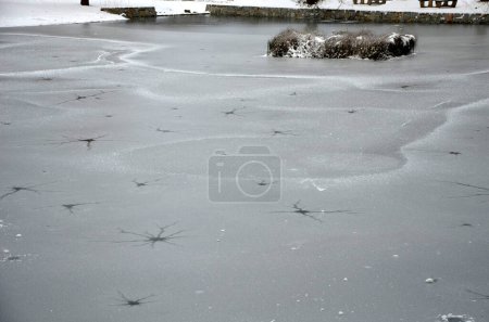 Foto de Un estanque congelado con extraños puntos en forma de relámpago. gases del barro crearon interesantes formaciones gráficas. en el medio hay un cuadrado de plantas de agua vallada oxigenando el agua - Imagen libre de derechos