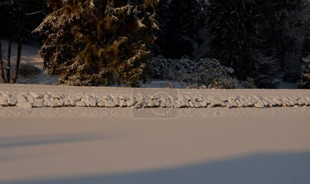 Téléchargez les photos : Les routes enneigées et les sentiers pédestres dans le parc naturel doivent bientôt être déblayés par l'entretien avec des charrues, des balais, des pelles, des râteaux. nettoyer la neige glissante avant que les visiteurs ne soient blessés - en image libre de droit
