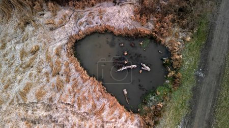 Photo for Winding stream with ponds. people renewed the zigzagging cancel melioration, measures to maintain water in the landscape. a pond with a drowned tree is surrounded by lying frozen grass like fur - Royalty Free Image
