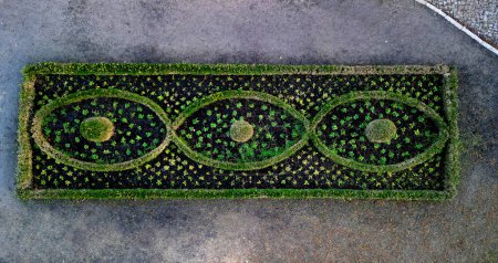 Photo for A rectangular flowerbed bordered and divided by a boxwood hedge and solitaire balls in a clipped shape. the squiggle is repeated three times as a green ribbon in the ornament, landscaping, cobblestone - Royalty Free Image