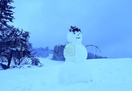 Foto de Muñeco de nieve pequeño que parece un duende del bosque con una ramita de abeto en lugar de pelo. tiene orejas y una expresión diabólica en medio de un bosque nevado en un tronco de árbol - Imagen libre de derechos
