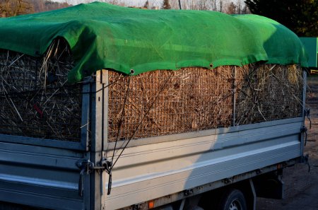 Photo for A properly covered pile of garden maintenance grass clippings on a trailer with a trellis body for more truck capacity. gardening services and cleaning of public parks, mesh, hay stack, composting - Royalty Free Image