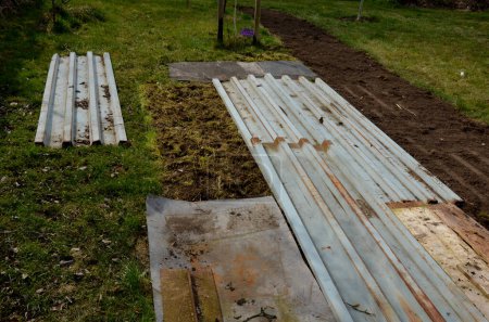 covering flower bed with boards, prepare the soil and get rid of unwanted weeds. without herbicides, the soil can be cultivated on a small scale without effort. sheets of plywood on lawn in strips