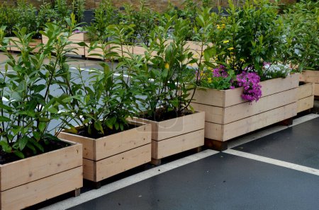 rangées de pots de fleurs en planches d'épicéa naturel. dans le parking en face de l'entreprise, il y a un parking pour les clients sur la terrasse à côté du grand magasin. plantes et arbustes rocheux