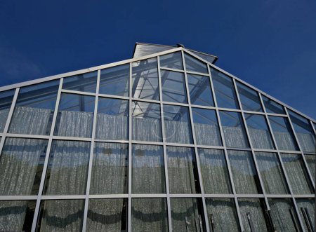 Foto de Cubrir el interior del invernadero con tela de aluminio. reflejando así la luz solar y al mismo tiempo ventilando con la malla abierta. en la cresta del techo. cultivos hortícolas, flores, - Imagen libre de derechos