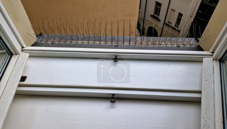 Photo for Protection of urban buildings and wall through feces of pigeons. Damage to the windows of statues and stucco windows must be prevented, they must be protected with metal hedgehogs, wires. It stick - Royalty Free Image