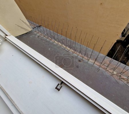 Photo for Protection of urban buildings and wall through feces of pigeons. Damage to the windows of statues and stucco windows must be prevented, they must be protected with metal hedgehogs, wires. It stick - Royalty Free Image
