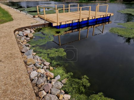 Photo for Pier for park visitors. two steps lead to it. planks terrace over water. Pond with a dock for boats. floor plan of a rectangle. the terrace has no railings., stone, green, algae, boat, duckweed, lawn - Royalty Free Image
