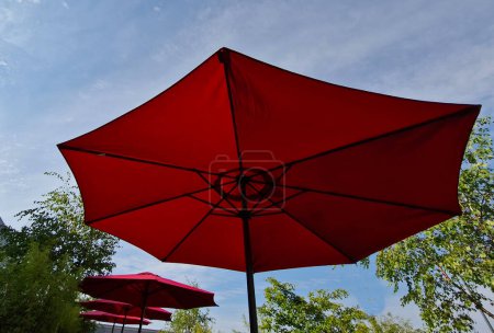 Photo for Open parasols umbrella are in a row among the trees. table shades. a view from below of the sky. wine red fabric - Royalty Free Image