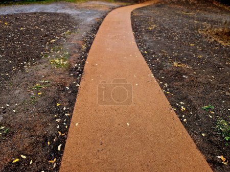 Photo for Compressing the gravel of the new park threshing path. lawn seed is repaired by rolling a metal hand roller, which is filled with water, will be heavier, cycling path - Royalty Free Image