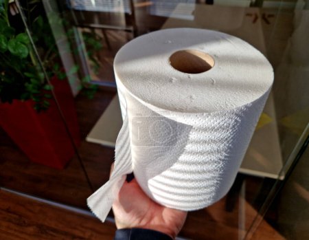 a roll of bleached multi-ply toilet paper in a man's hand in a light corridor. there is nothing to wipe. the kitchen towel roll is not ecological and recycling is problematic