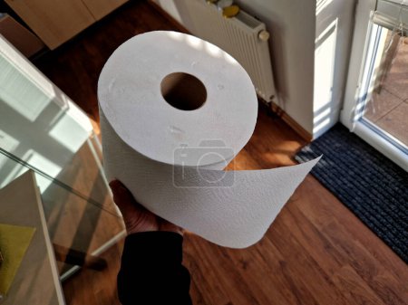 a roll of bleached multi-ply toilet paper in a man's hand in a light corridor. there is nothing to wipe. the kitchen towel roll is not ecological and recycling is problematic