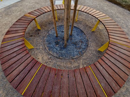 Téléchargez les photos : Banc rond en bois entoure un arbre, assis autour avec des panneaux de bois. cadre métallique. segments constitués de planches autour de l'arbre. grilles de ventilation et d'arrosage aux racines - en image libre de droit