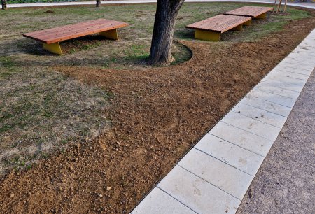 slope of the terrain is suitable to protect the tree roots from an excessive layer of soil. the roots must breathe. sheet metal curb.