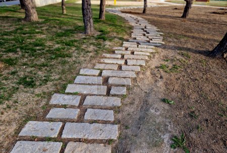 Stufensteine oder Trittsteine sind Sets von Steinen, die so angeordnet sind, dass sie einen improvisierten Damm bilden, der es einem Fußgänger ermöglicht, einen natürlichen Wasserlauf wie Acker zu überqueren.