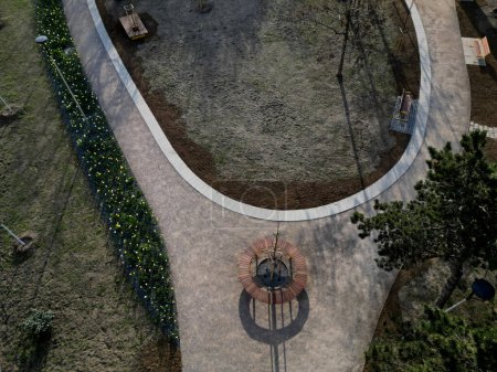 banco de madera en forma de círculo con un árbol que crece en el centro. columpios y senderos arenosos en el parque. un lecho de bulbos florecientes. puertas amarillas y pinos mirando verticalmente hacia abajo, bebiendo fuente