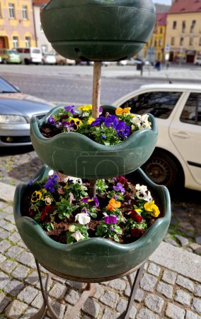 flower pyramid in the urban environment in the pedestrian zone blooms red and white annuals this is a seasonal ornamental column in the square
