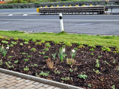 a flower bed at a freeway on-ramp with a crash barrier barrier at an intersection. bollard in bark