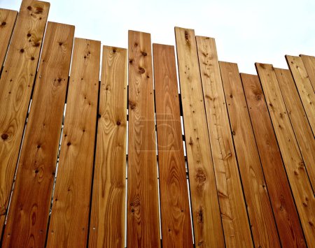 Téléchargez les photos : Un terrain à bord avec une palissade au fond. le haut de la clôture est déchiqueté des planches comme une clôture inachevée. le look bâclé est intentionnel - en image libre de droit