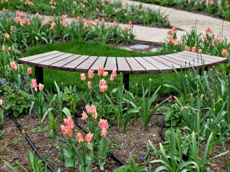 Trittsteine führen zu einem kleinen runden Rasen inmitten eines Blumenbeetes. sitzt auf einer gebogenen Bank aus rotem Tropenholz. Automatische Sprinklerschläuche auf der Bodenoberfläche, Schlange, Obersicht