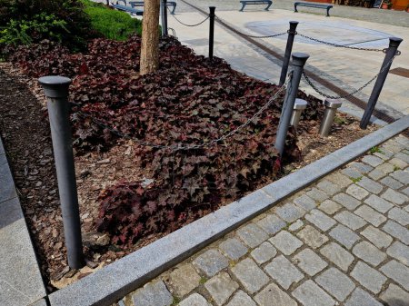 a bed with dark red perennials. the edge is bordered by metal posts and a chain