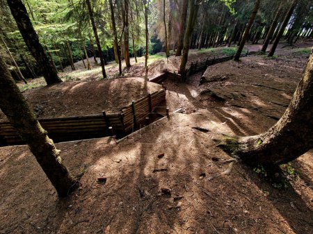 branching trench routes deepen into the wooded landscape. the planking of the walls protects the soldiers from being overwhelmed by soil. museum of war strategy