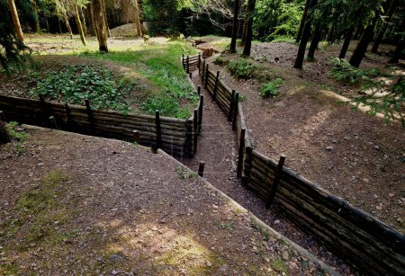 Verzweigte Grabenwege vertiefen sich in die bewaldete Landschaft. Die Beplankung der Wände schützt die Soldaten davor, vom Boden überrollt zu werden. Museum der Kriegsstrategie