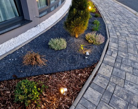the curves of the beds and different types of mulching of the perennial bed with reflectors illuminating individual trees, curve, curves