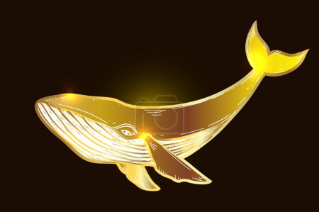 Téléchargez les illustrations : Baleine dorée illustration vectorielle dessinée à la main. Baleine à bosse de mer. Croquis Encre, Monde sous-marin, Vie marine - en licence libre de droit