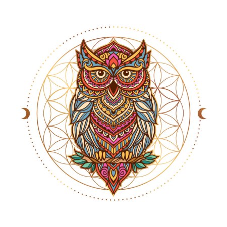 Illustration for Owl mandala sacred geometry. Animal Vector illustration. Adult or kids coloring book page in Zen boho style. Antistress lizard drawing - Royalty Free Image