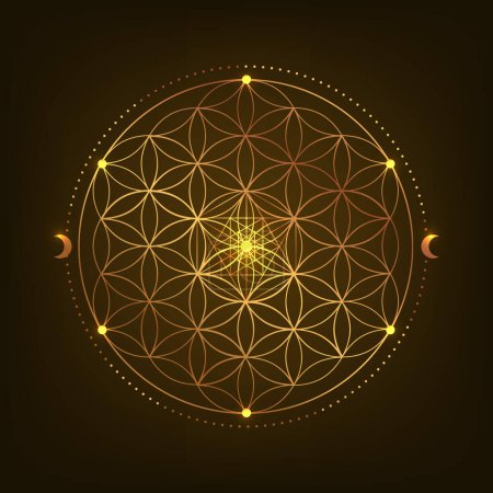 Illustration for Sacred Geometry Symbol. Vector illustration. Mystic esoteric Flower of Life. Golden Seed of life. Mandala lotus flower on black background - Royalty Free Image