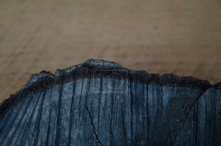 Foto de Textura de tronco de madera, dividida en mitad y mitad - Imagen libre de derechos