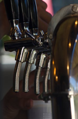 Foto de Álamo de cerveza con espigas y vidrio de plástico. servir cerveza de barril artesanal - Imagen libre de derechos